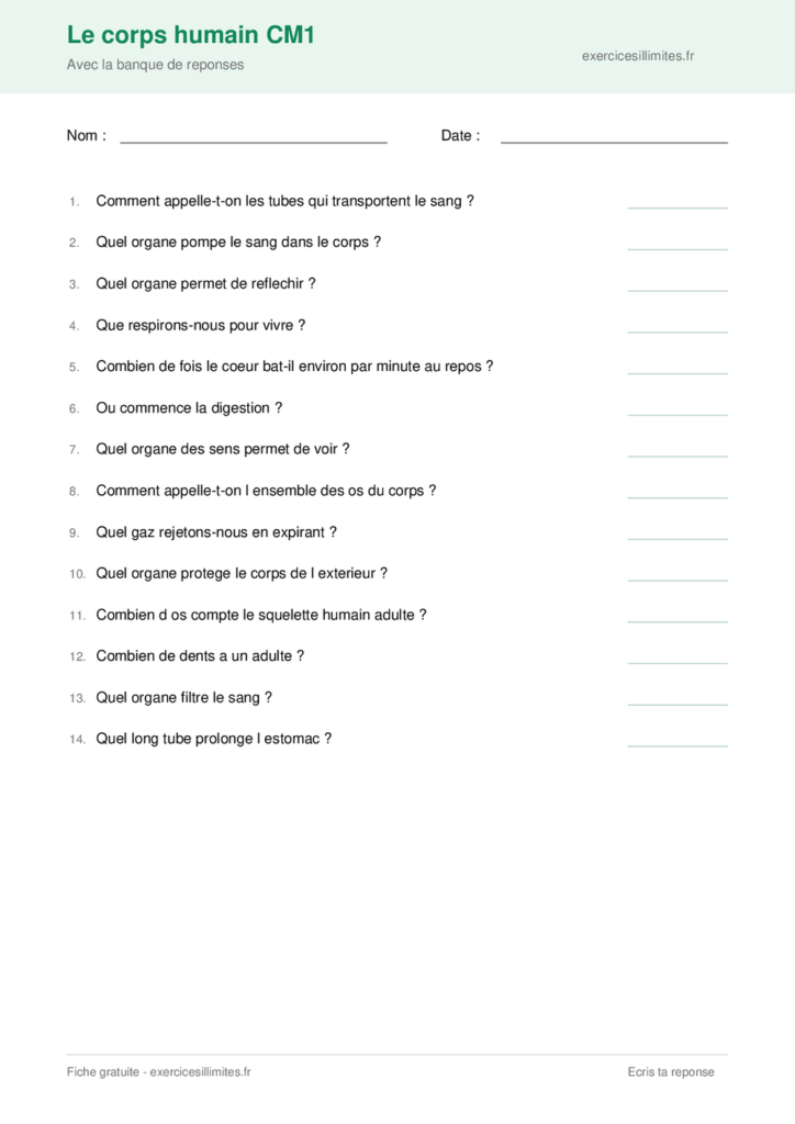 Fiche corps humain CM1 a imprimer