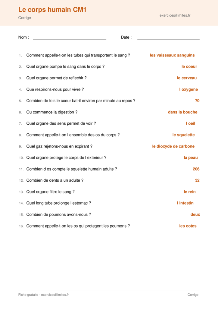 Fiche corps humain CM1 a imprimer