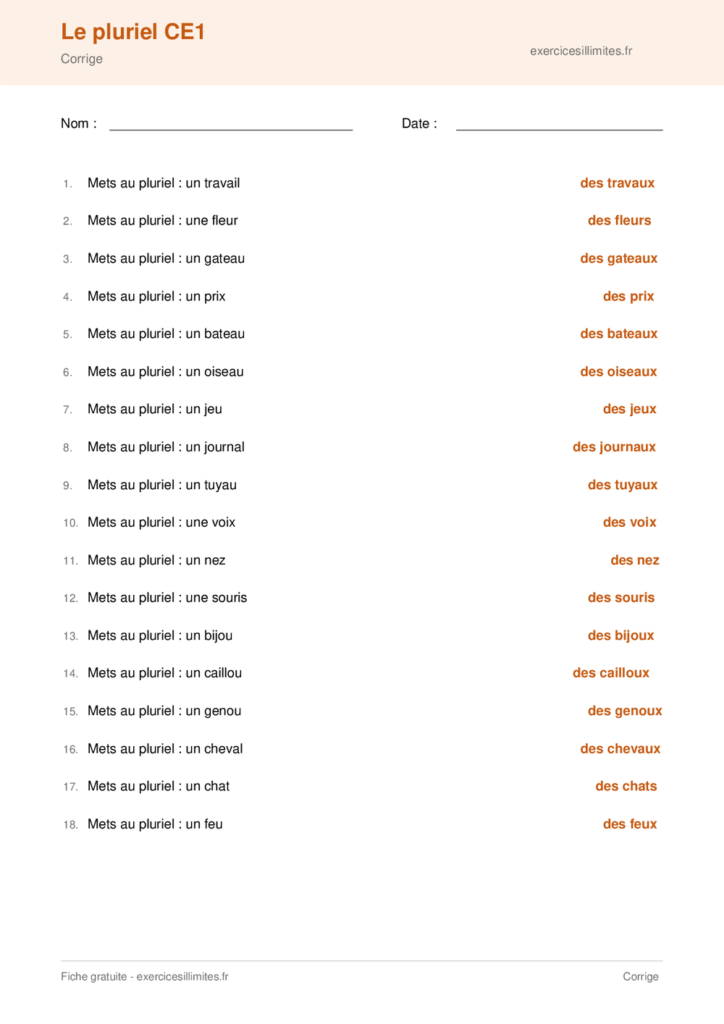Fiche pluriel des noms CE1 a imprimer