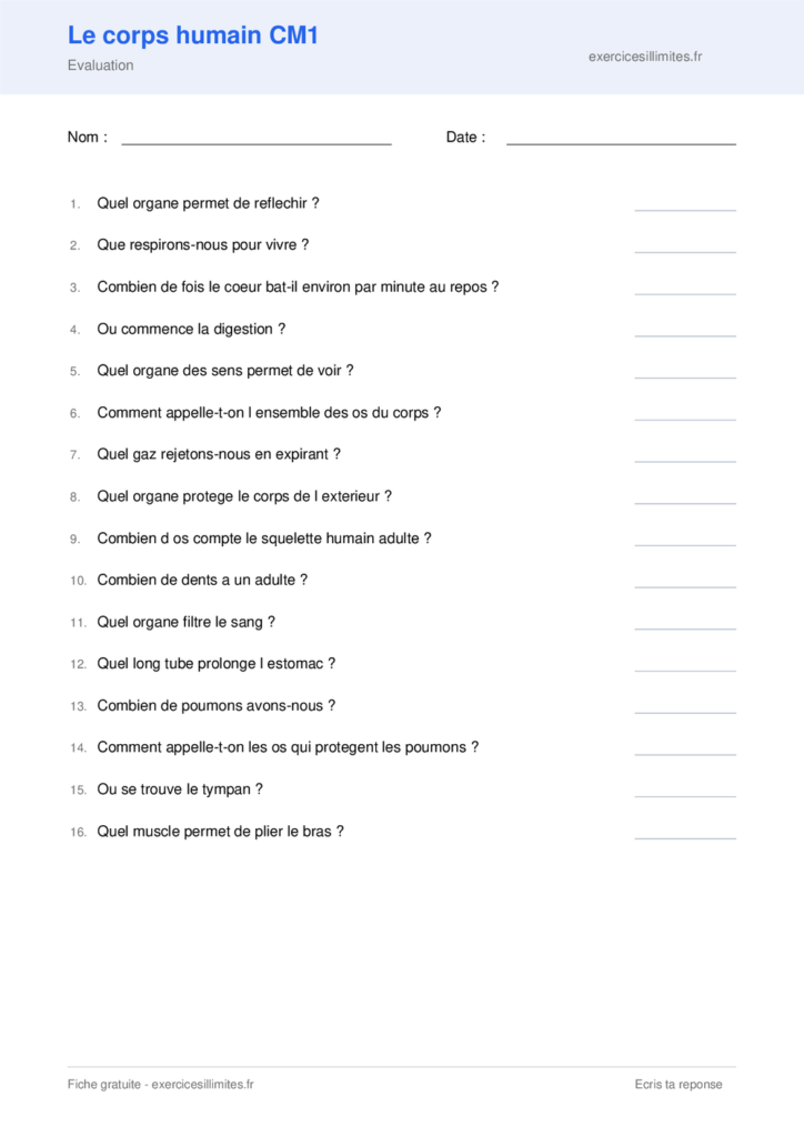 Fiche corps humain CM1 a imprimer