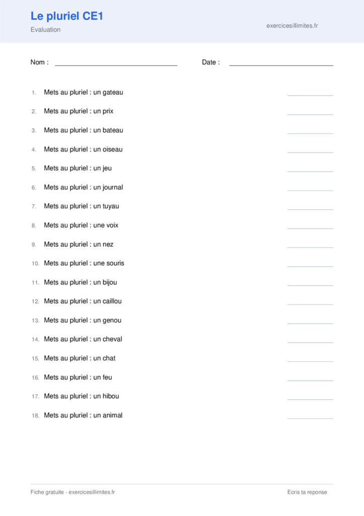 Fiche pluriel des noms CE1 a imprimer