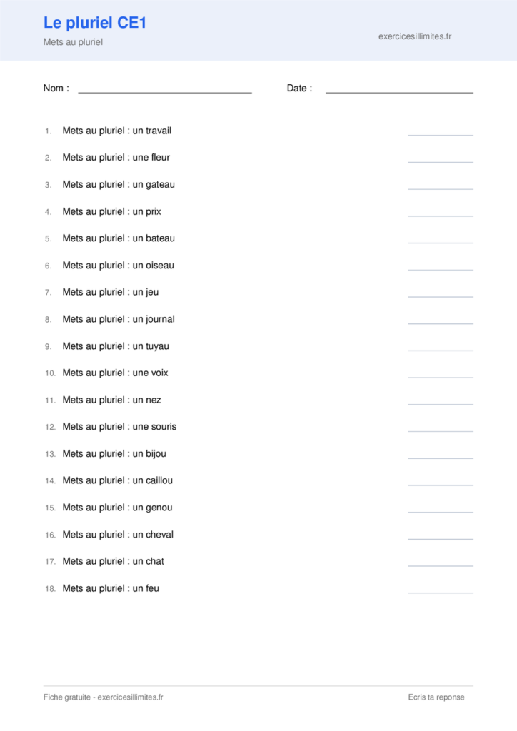 Fiche pluriel des noms CE1 a imprimer