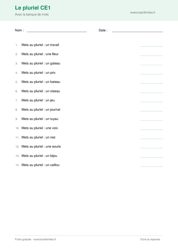 Fiche pluriel des noms CE1 a imprimer