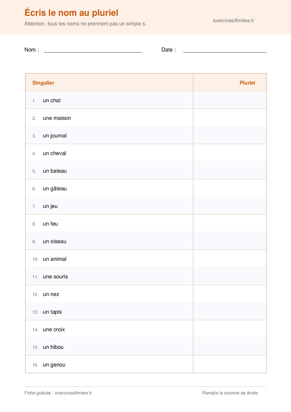 Fiche CE1 pour écrire seize noms au pluriel